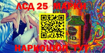 Альфа ПВП Краснознаменск