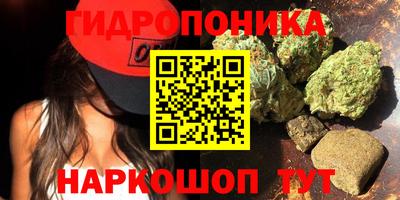 Альфа ПВП Краснознаменск