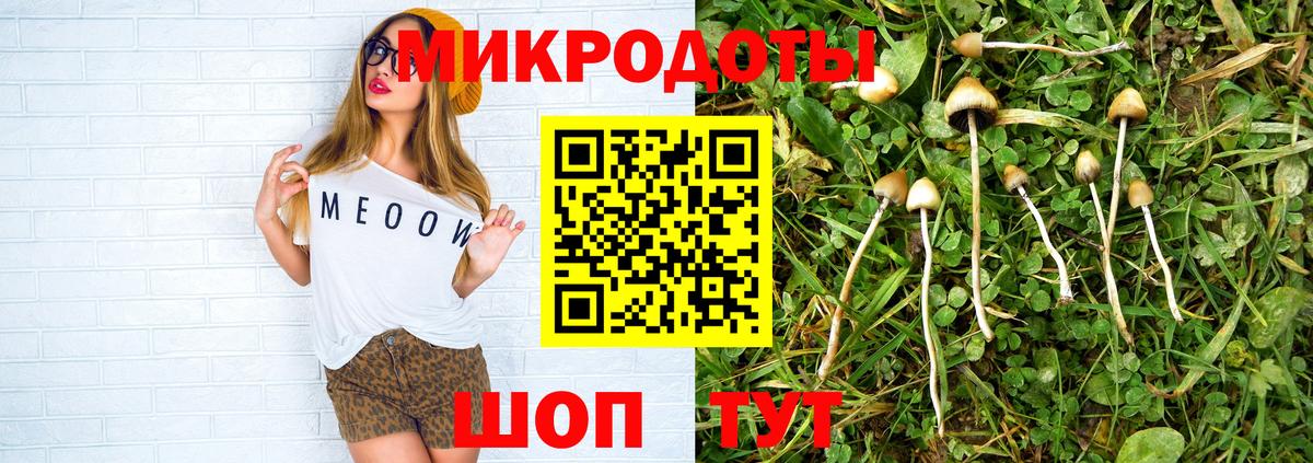 Галлюциногенные грибы мицелий Тара